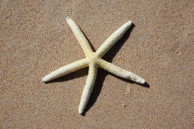 《战争机器：事变日》《腐烂国度3》都会登陆索尼PS5平台